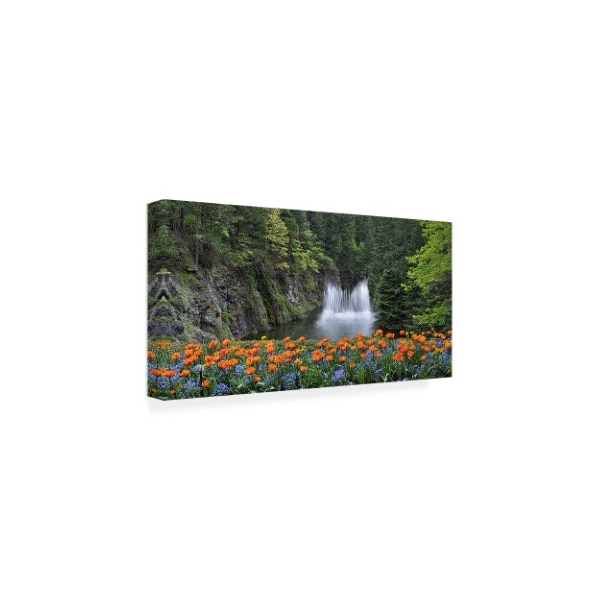 Chuck Burdick 'Water Music Flowers' Canvas Art,10x19